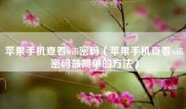 苹果手机查看wifi密码（苹果手机查看wifi密码最简单的方法）