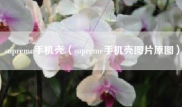 supreme手机壳（supreme手机壳图片原图）