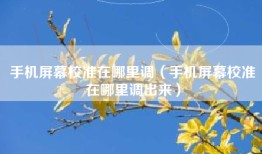 手机屏幕校准在哪里调（手机屏幕校准在哪里调出来）