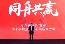雷军：这个像风一样的男神 让全球电子巨头云集仙桃 让世界瞩目仙桃