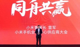 雷军：这个像风一样的男神 让全球电子巨头云集仙桃 让世界瞩目仙桃