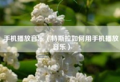 手机播放音乐（特斯拉如何用手机播放音乐）