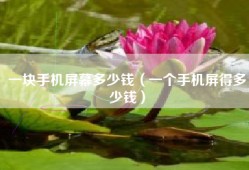 一块手机屏幕多少钱（一个手机屏得多少钱）