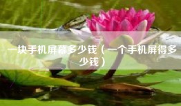 一块手机屏幕多少钱（一个手机屏得多少钱）