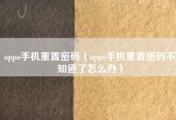 oppo手机重置密码（oppo手机重置密码不知道了怎么办）