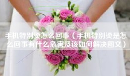 手机特别烫怎么回事（手机特别烫是怎么回事有什么危害及该如何解决图文）
