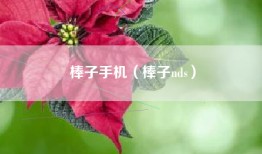 棒子手机（棒子nds）