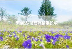 聚通达-信息流精准投放