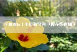 手机看bt（手机看北京卫视在线直播）