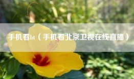 手机看bt（手机看北京卫视在线直播）