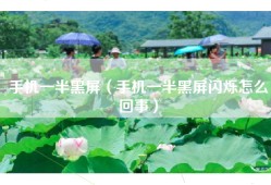 手机一半黑屏（手机一半黑屏闪烁怎么回事）