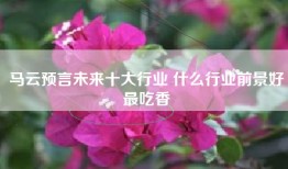 马云预言未来十大行业 什么行业前景好最吃香