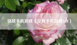 空战手机游戏（空战手机游戏ACE）