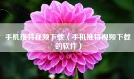 手机推特视频下载（手机推特视频下载的软件）