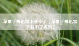 苹果手机迅雷下载不了（苹果手机迅雷下载不了视频）