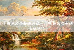 手机怎么查车辆违章（手机怎么查车辆违章照片）