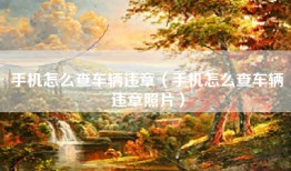 手机怎么查车辆违章（手机怎么查车辆违章照片）