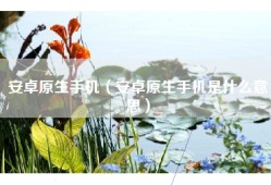 安卓原生手机（安卓原生手机是什么意思）