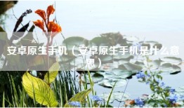 安卓原生手机（安卓原生手机是什么意思）