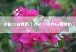 手机号看性格（通过手机号码看性格）
