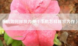 手机如何释放内存（手机怎样释放内存）