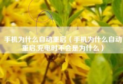 手机为什么自动重启（手机为什么自动重启,充电时不会是为什么）