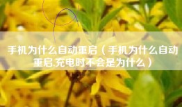 手机为什么自动重启（手机为什么自动重启,充电时不会是为什么）