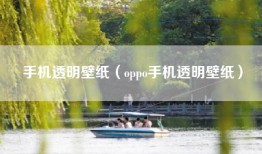 手机透明壁纸（oppo手机透明壁纸）