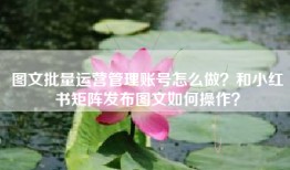 图文批量运营管理账号怎么做？和小红书矩阵发布图文如何操作？