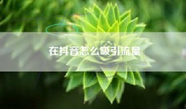 在抖音怎么吸引流量