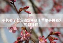 手机丢了怎么锁定手机（苹果手机丢失如何锁住）