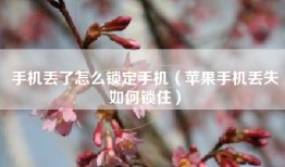 手机丢了怎么锁定手机（苹果手机丢失如何锁住）