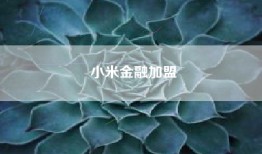 小米金融加盟