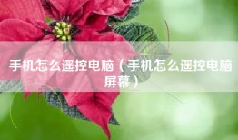 手机怎么遥控电脑（手机怎么遥控电脑屏幕）