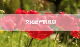文化遗产的意思
