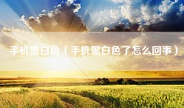手机黑白色（手机黑白色了怎么回事）
