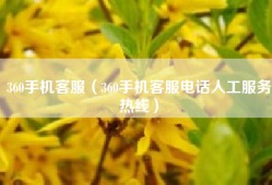 360手机客服（360手机客服电话人工服务热线）