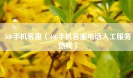 360手机客服（360手机客服电话人工服务热线）