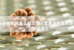 手机照片怎么加文字（苹果手机照片怎么加文字）