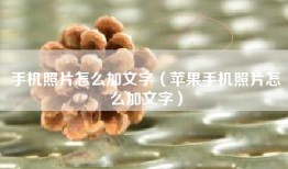 手机照片怎么加文字（苹果手机照片怎么加文字）