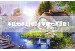 手机无线上网慢（手机无线很慢）