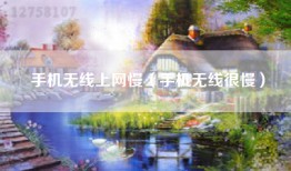 手机无线上网慢（手机无线很慢）