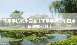 苹果手机的小圆点（苹果手机的小圆点在哪里打开）