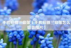 手机拍摄三脚架（手机拍摄三脚架怎么组装图片）