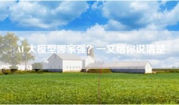 AI 大模型哪家强？一文给你说清楚