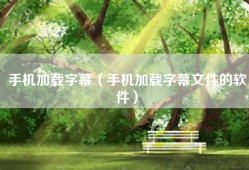 手机加载字幕（手机加载字幕文件的软件）