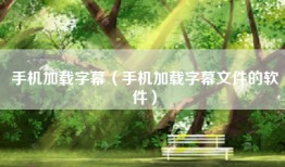 手机加载字幕（手机加载字幕文件的软件）