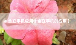 金立手机应用（金立手机的应用）