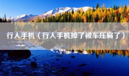 行人手机（行人手机掉了被车压扁了）