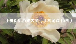 手机街机游戏大全（手机游戏 街机）